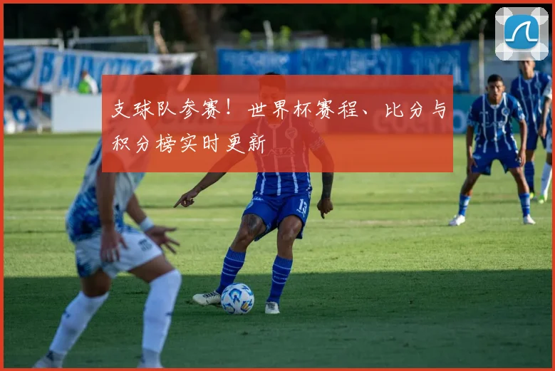 支球队参赛!世界杯赛程、比分与积分榜实时更新