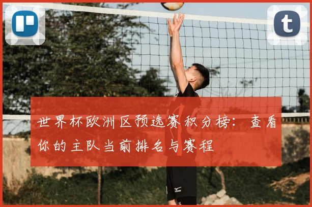 世界杯欧洲区预选赛积分榜：查看你的主队当前排名与赛程