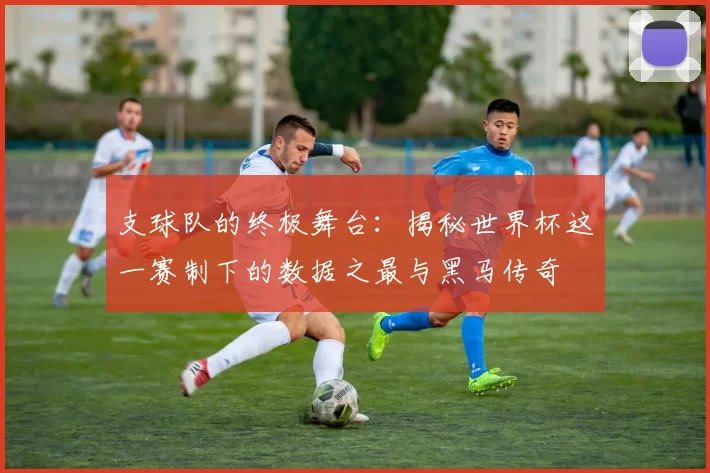 支球队的终极舞台:揭秘世界杯这一赛制下的数据之最与黑马传奇