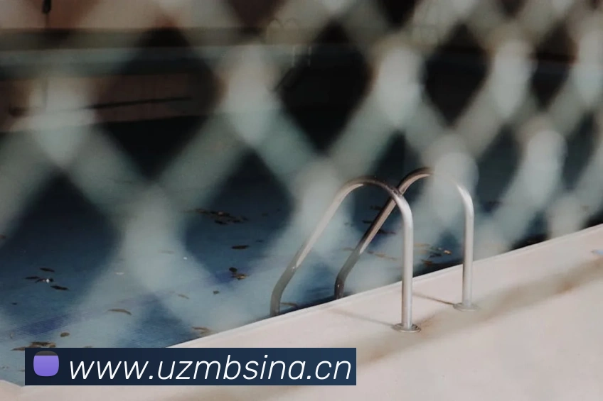 App Interface Preview